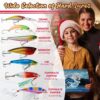 2025 Fishing Advent Calendar – 25-Day Mystery Lure Countdown Gift for Anglers