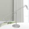 Fishing in Motion – Stainless Steel Kinetic Desk Sculpture for Relaxation & Focus